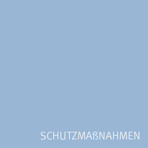 Schutzmaßnahmen 